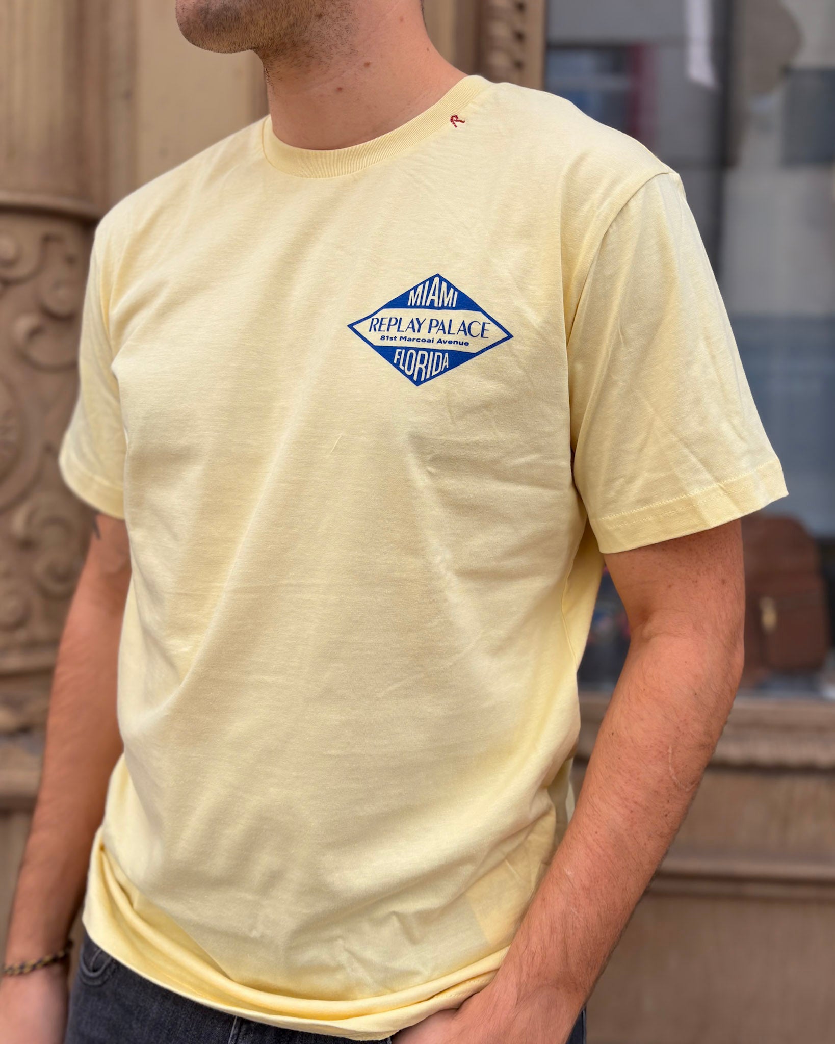 MEN'S REPLAY T-SHIRT WITH PRINT ON THE BACK 