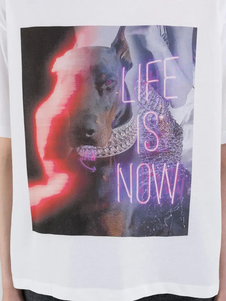 REPLAY DÁMSKE TRIČKO ROVNÉHO STRIHU Z ŽERZEJA S POTLAČOM 